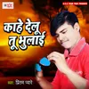 About Kahe Delu Tu Bhulai Song